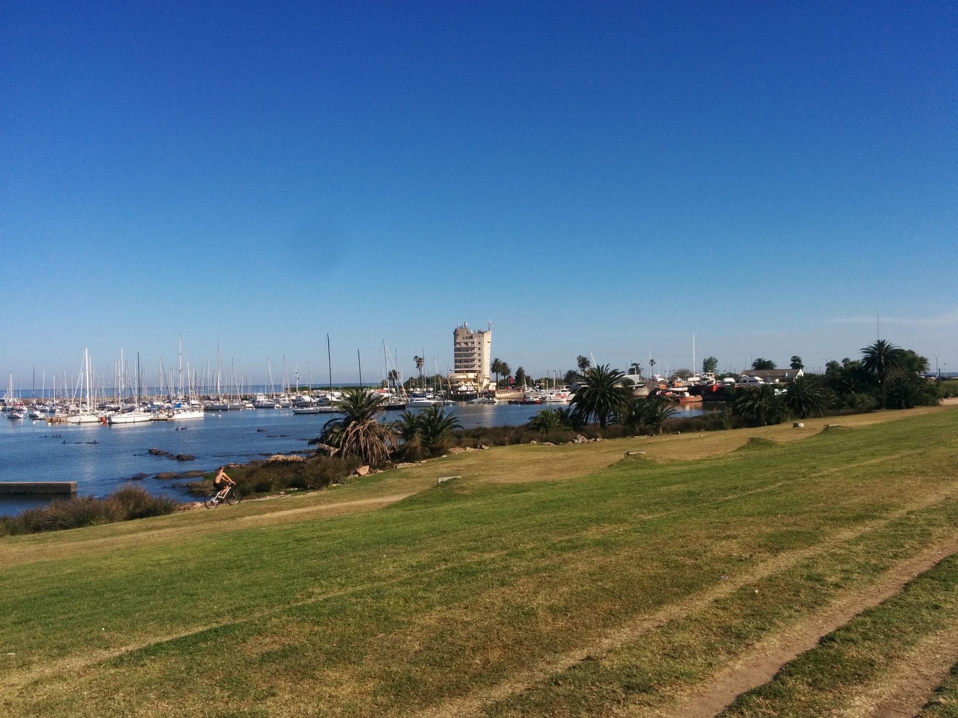 An harbour on the ramblas of Montevideo