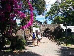 The gate of an old wall