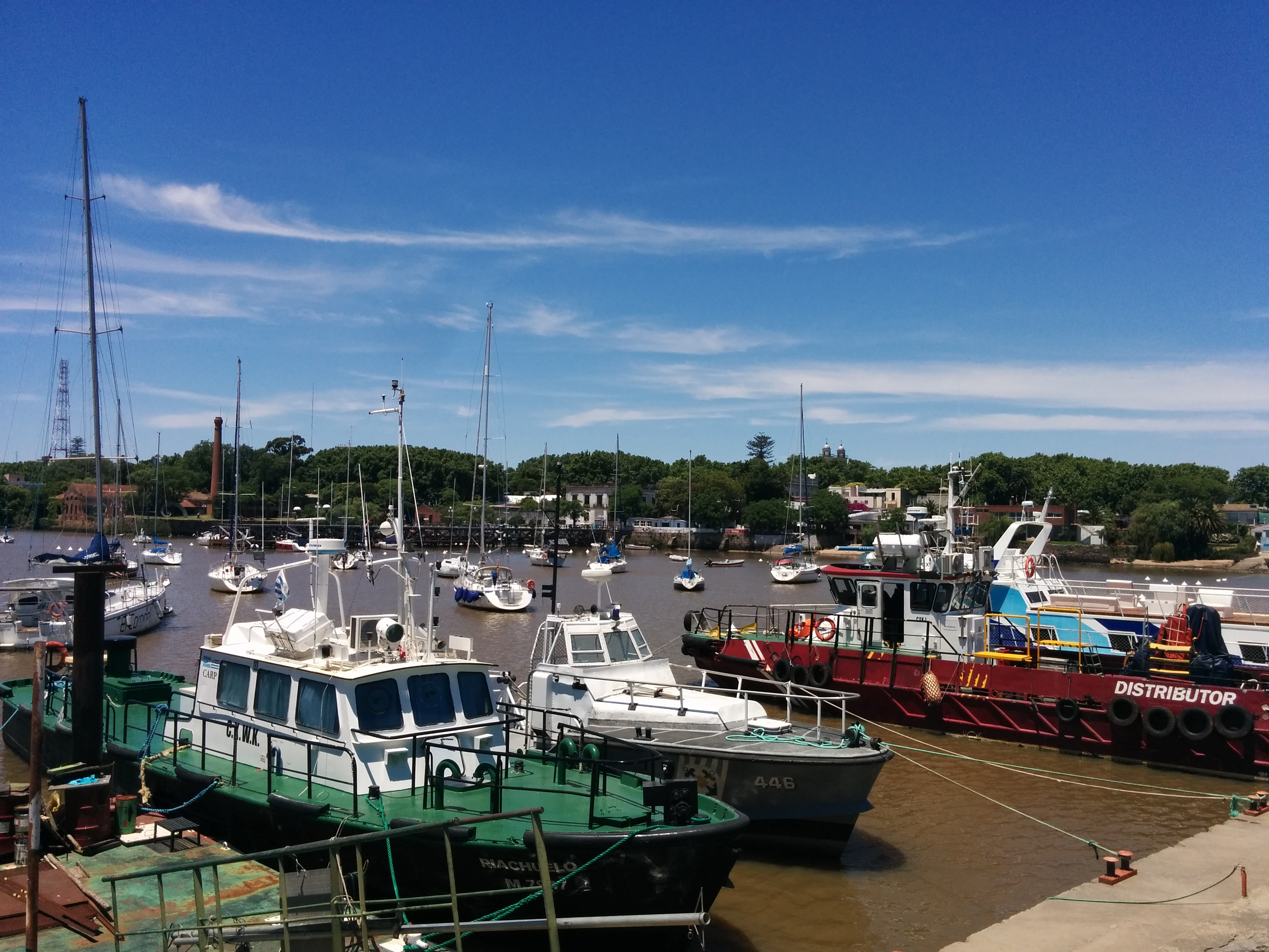 The harbour with boats