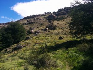 An area of bouldering