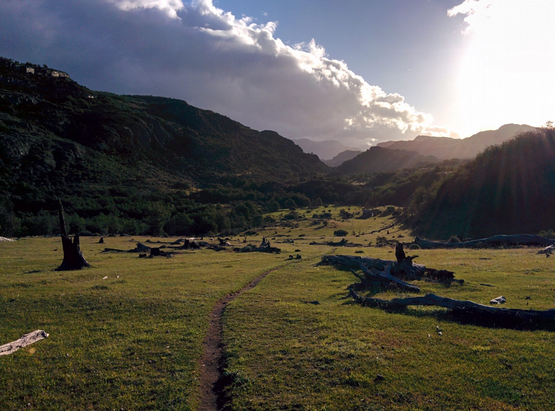 A field of grass under a sunset with a path