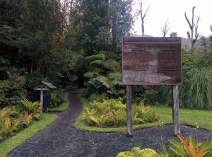 A sign indicates information about the trek of the volcan. The trek starts here and disappears in the forest.