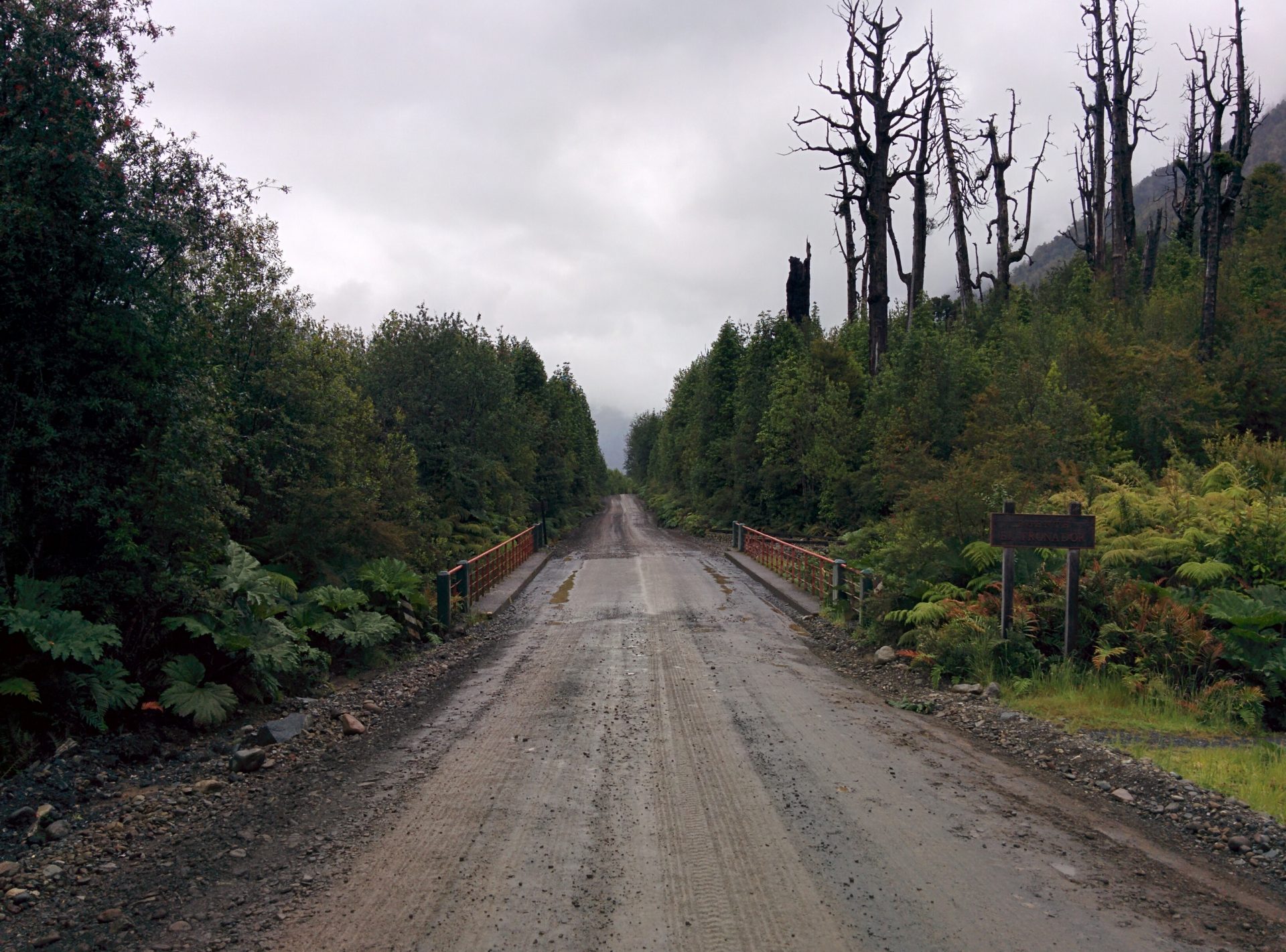 The landway Carretera Austral surrunded with forest.