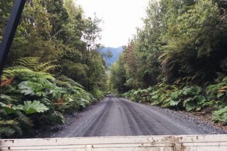 The landway and a forest taken from the bak of a pick up