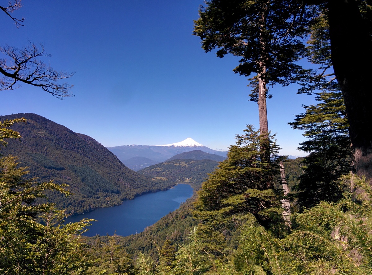 A view of a lake and a volcano