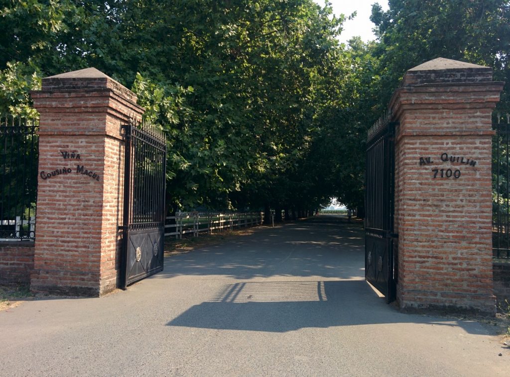 Gate for entering in a winery