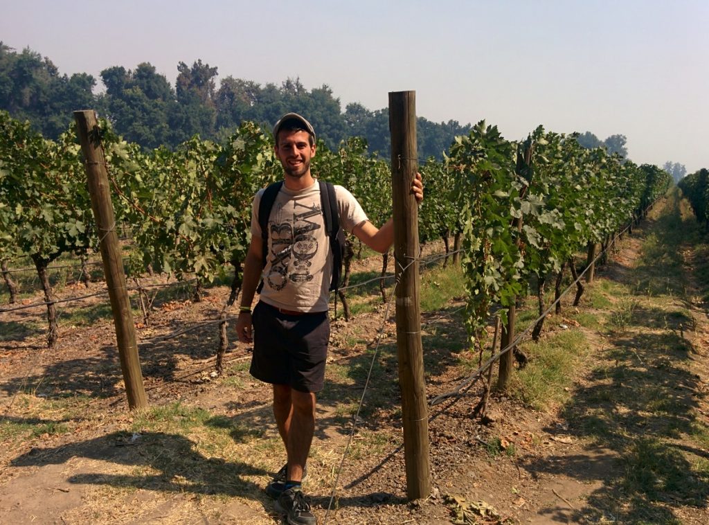 Me in front of a vineyard