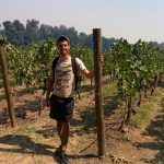 Me in front of a vineyard
