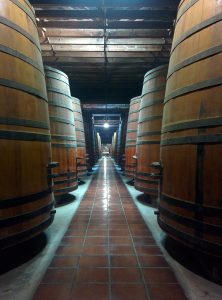 Old tanks for wine in wood