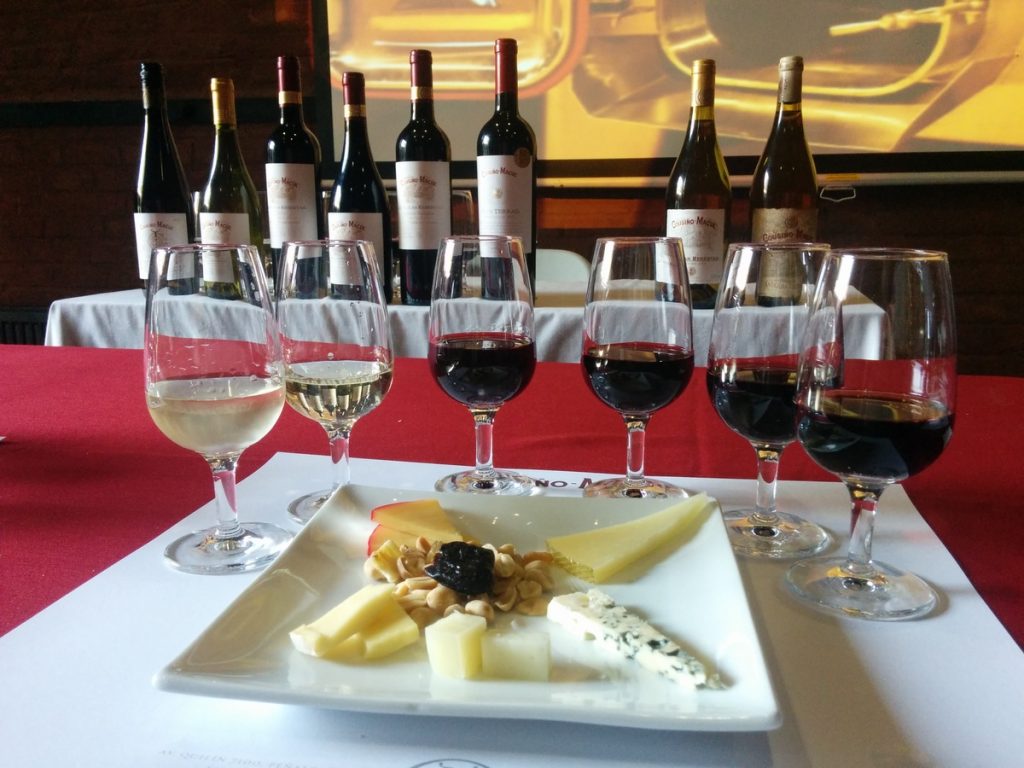 Tasting of wine pairing with chees