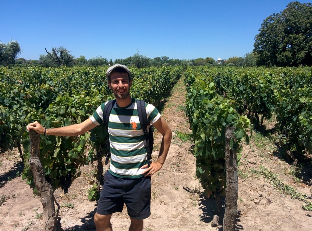 A man in front of a vineayrd