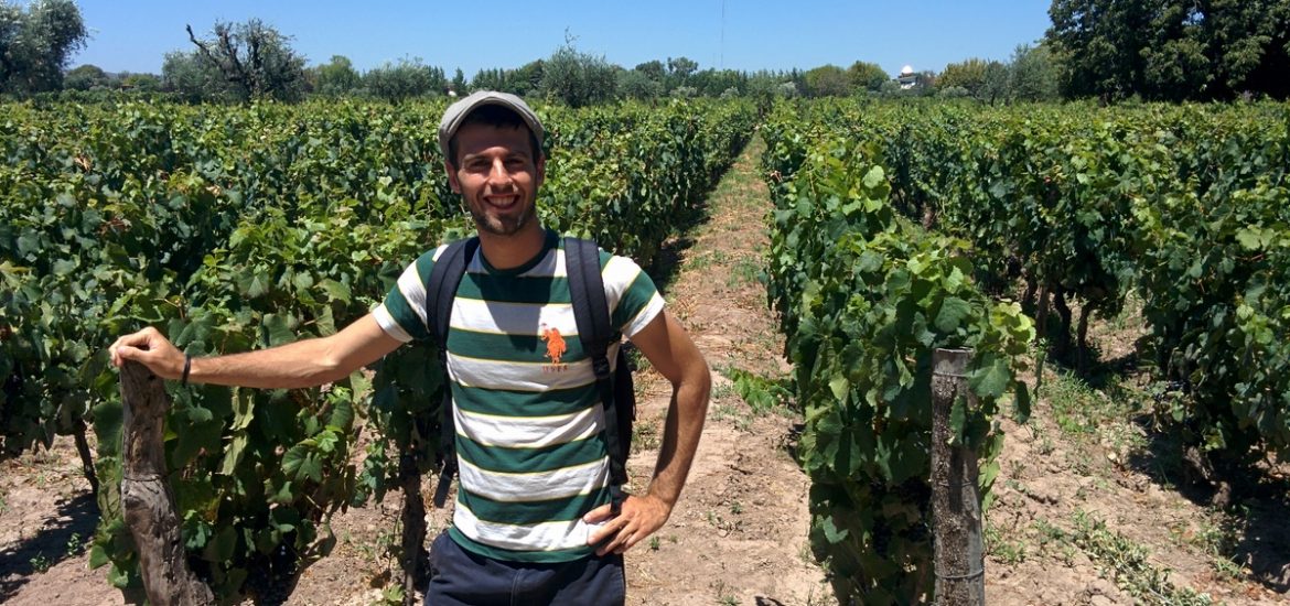 A man in front of a vineayrd