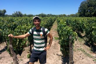 A man in front of a vineayrd