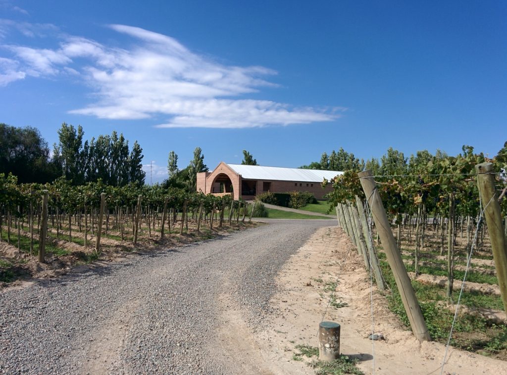 A bodega behind a vineyard in italian style.