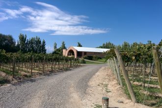 A bodega behind a vineyard in italian style.