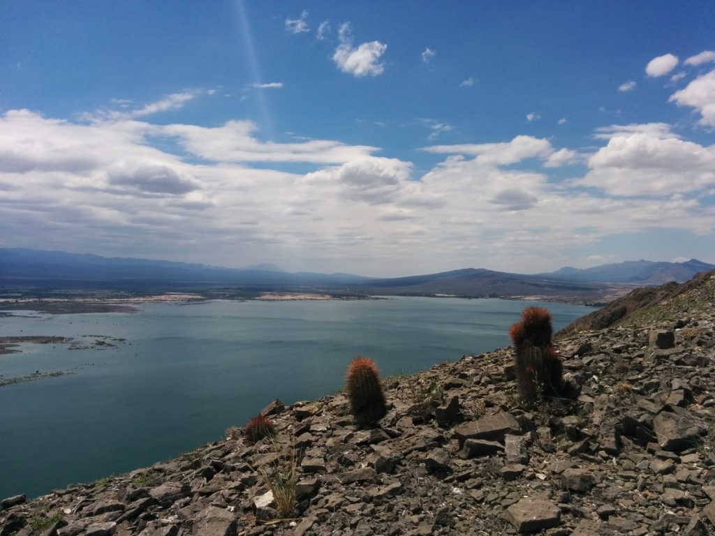 View of the lake from the top with cactus.