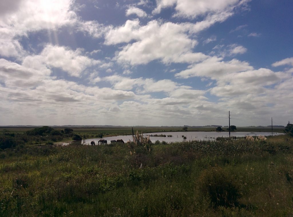 The typical landscape inside land