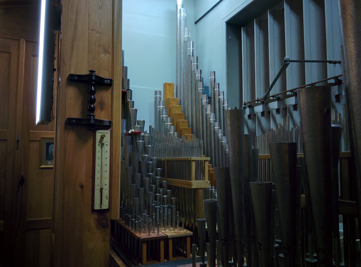 Visit inside the organ
