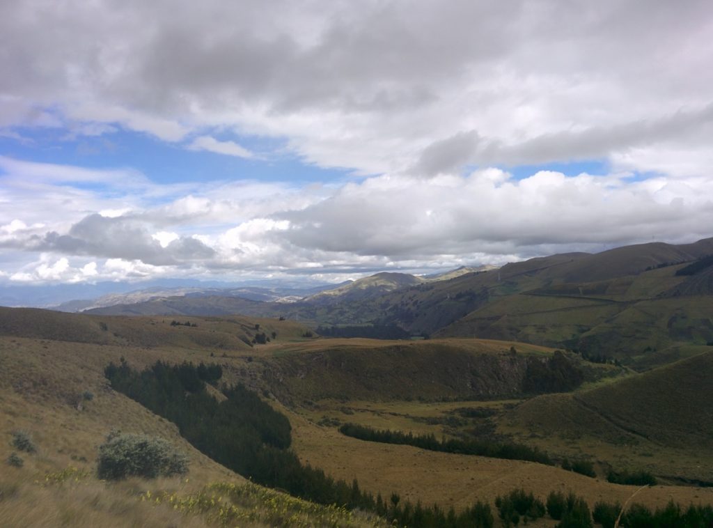 The landscape is changing, more yellow, more vegetation