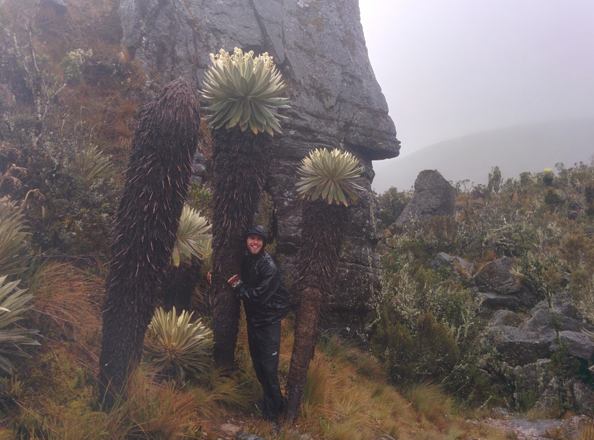 Paramo de Oceta